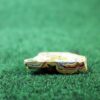 Finished Piece of Fordite -  From Late 70's to Mid 80's - 26.21mm x 21.03mm x 7.87mm          (2885) - Image 2